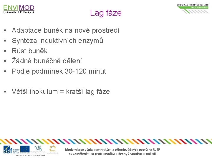 Lag fáze • • • Adaptace buněk na nové prostředí Syntéza induktivních enzymů Růst