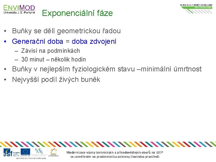 Exponenciální fáze • Buňky se dělí geometrickou řadou • Generační doba = doba zdvojení