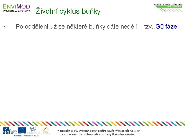 Životní cyklus buňky • Po oddělení už se některé buňky dále nedělí – tzv.