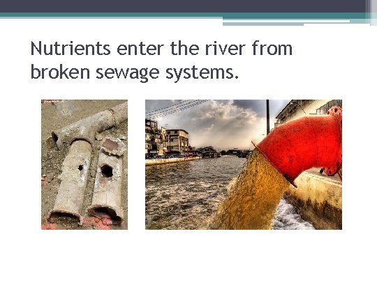 Nutrients enter the river from broken sewage systems. 