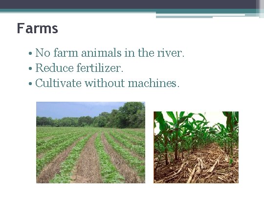 Farms • No farm animals in the river. • Reduce fertilizer. • Cultivate without