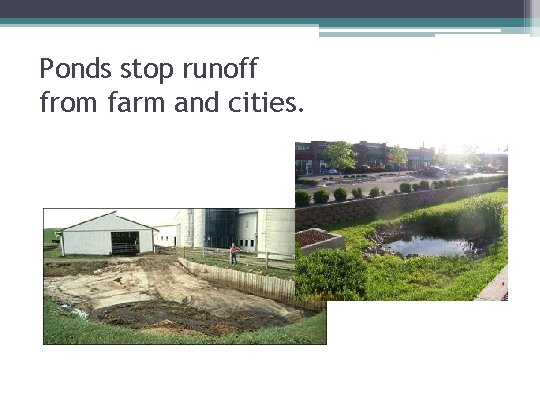 Ponds stop runoff from farm and cities. 