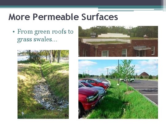 More Permeable Surfaces • From green roofs to grass swales… 