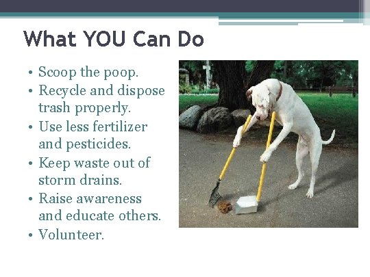 What YOU Can Do • Scoop the poop. • Recycle and dispose trash properly.