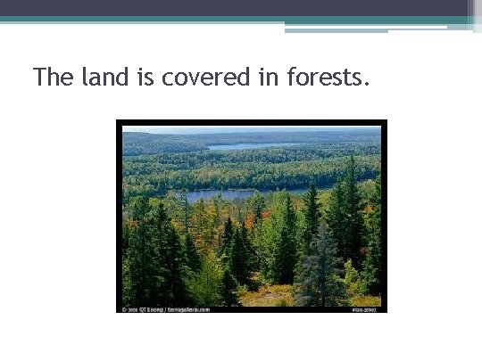 The land is covered in forests. 