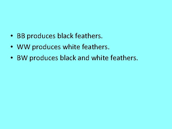  • BB produces black feathers. • WW produces white feathers. • BW produces