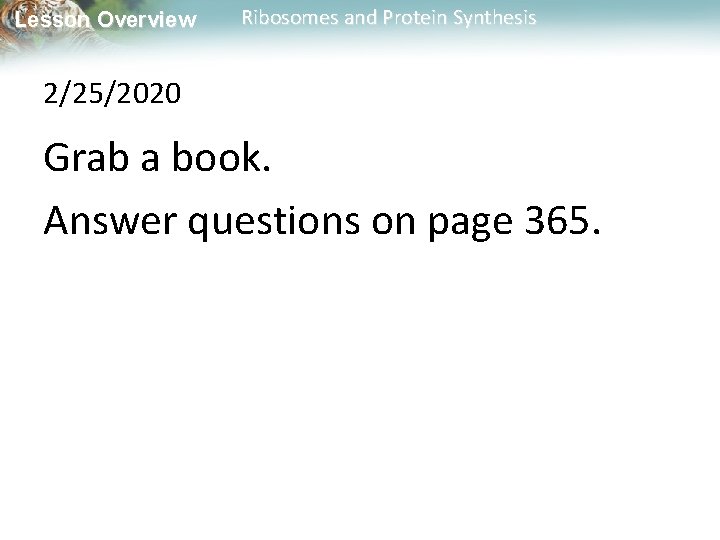 Lesson Overview Ribosomes and Protein Synthesis 2/25/2020 Grab a book. Answer questions on page