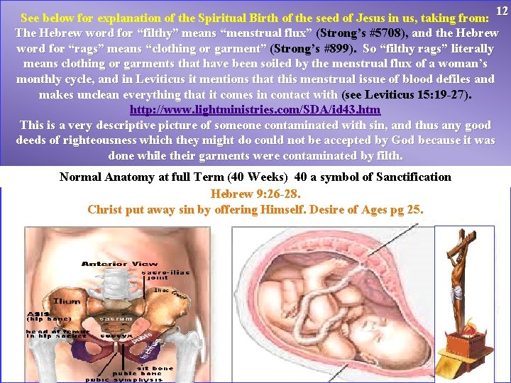 12 See below for explanation of the Spiritual Birth of the seed of Jesus