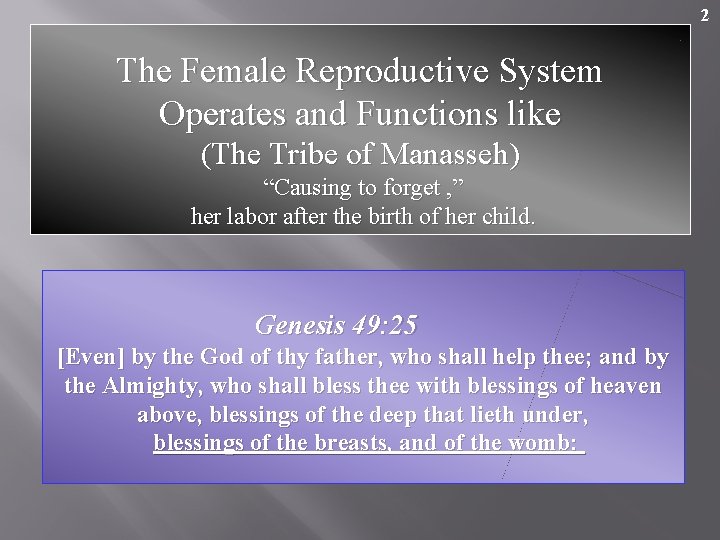 2 The Female Reproductive System Operates and Functions like (The Tribe of Manasseh) “Causing