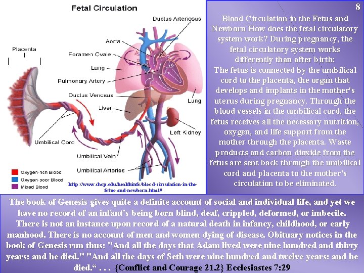 8 http: //www. chop. edu/healthinfo/blood-circulation-in-thefetus-and-newborn. html# Blood Circulation in the Fetus and Newborn How