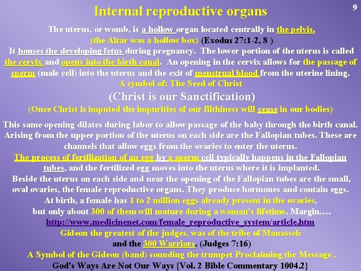 Internal reproductive organs 9 The uterus, or womb, is a hollow organ located centrally