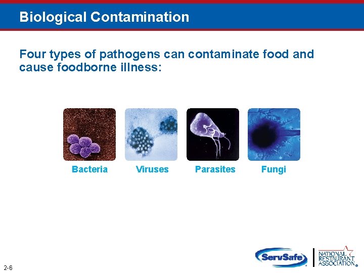 Biological Contamination Four types of pathogens can contaminate food and cause foodborne illness: Bacteria