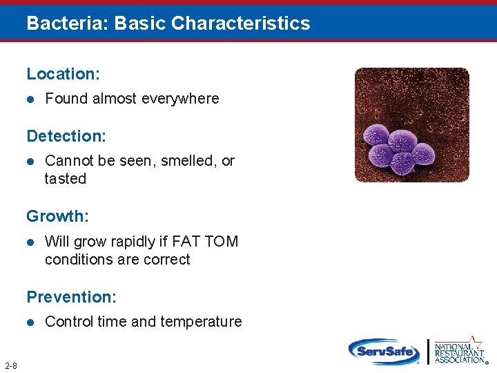 Bacteria: Basic Characteristics Location: l Found almost everywhere Detection: l Cannot be seen, smelled,