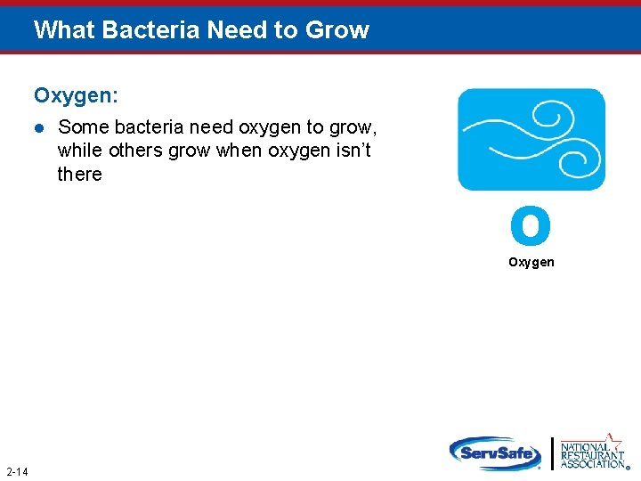 What Bacteria Need to Grow Oxygen: l Some bacteria need oxygen to grow, while