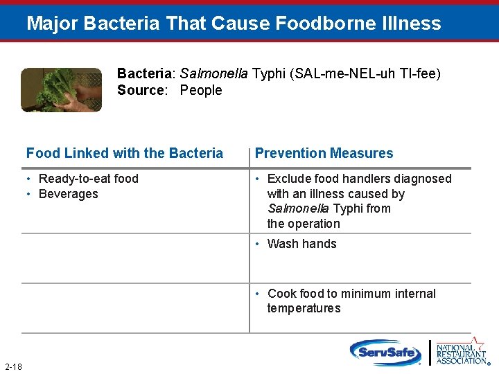 Major Bacteria That Cause Foodborne Illness Bacteria: Salmonella Typhi (SAL-me-NEL-uh TI-fee) Source: People Food