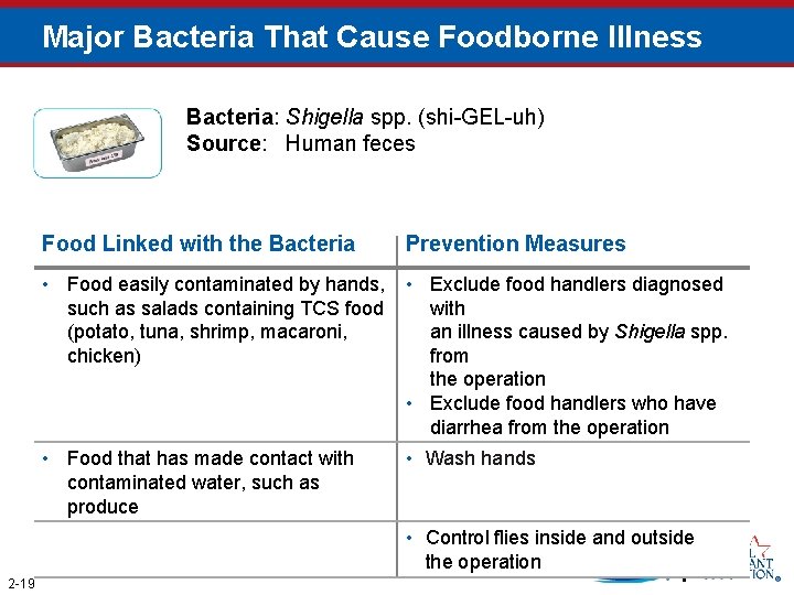 Major Bacteria That Cause Foodborne Illness Bacteria: Shigella spp. (shi-GEL-uh) Source: Human feces Food