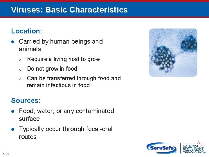 Viruses: Basic Characteristics Location: l Carried by human beings and animals o Require a