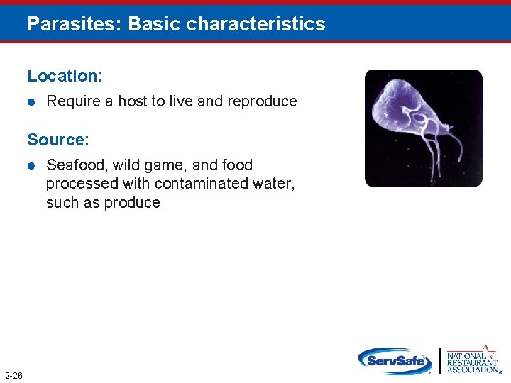Parasites: Basic characteristics Location: l Require a host to live and reproduce Source: l