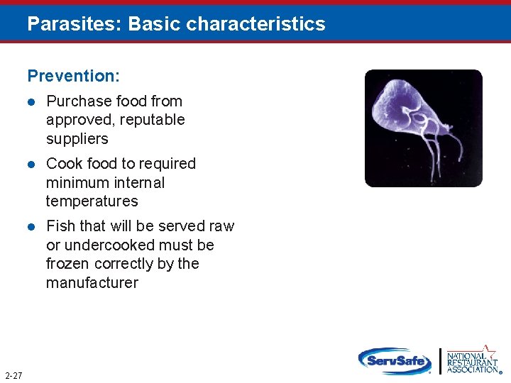 Parasites: Basic characteristics Prevention: 2 -27 l Purchase food from approved, reputable suppliers l