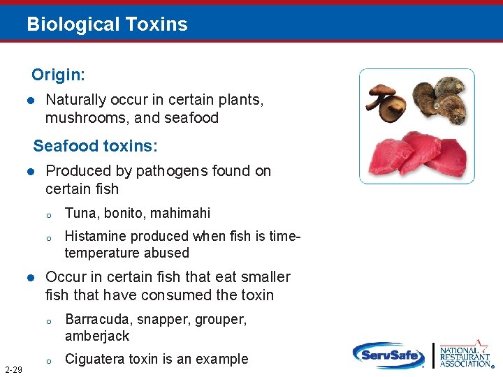 Biological Toxins Origin: l Naturally occur in certain plants, mushrooms, and seafood Seafood toxins: