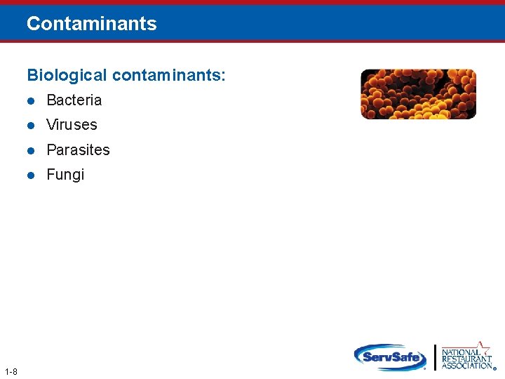 Contaminants Biological contaminants: 1 -8 l Bacteria l Viruses l Parasites l Fungi 