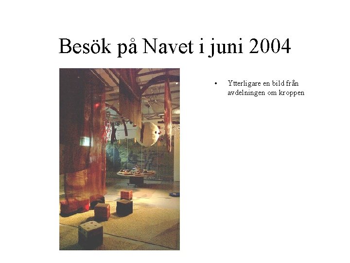 Besök på Navet i juni 2004 • Ytterligare en bild från avdelningen om kroppen