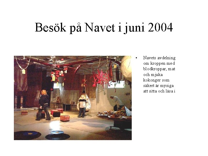 Besök på Navet i juni 2004 • Navets avdelning om kroppen med blodkroppar, mat