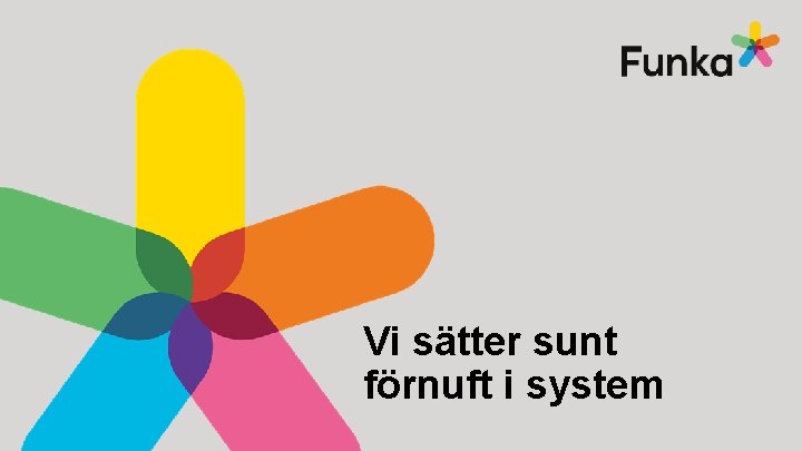 Vi sätter sunt förnuft i system 