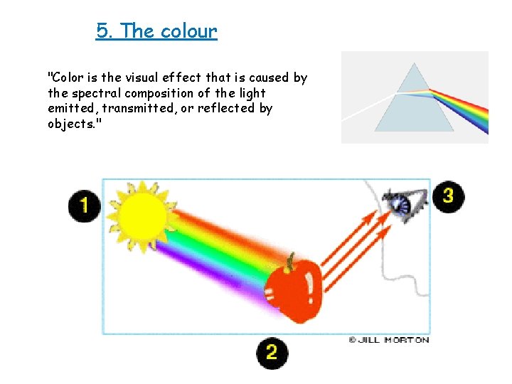 5. The colour "Color is the visual effect that is caused by the spectral