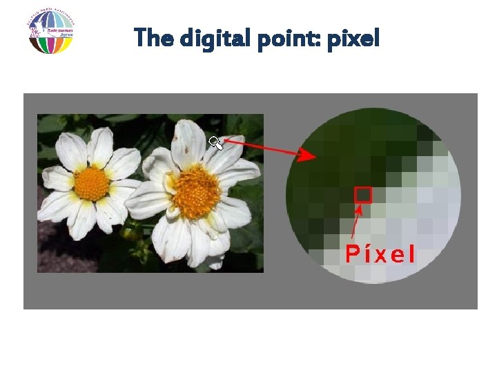 The digital point: pixel 