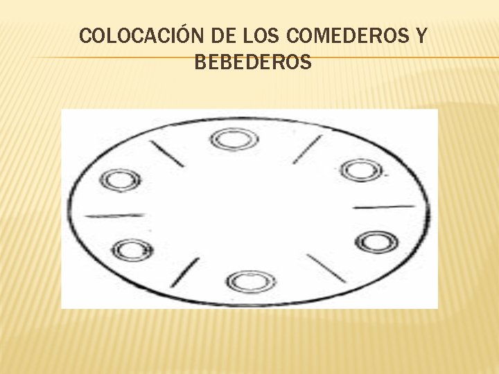 COLOCACIÓN DE LOS COMEDEROS Y BEBEDEROS 