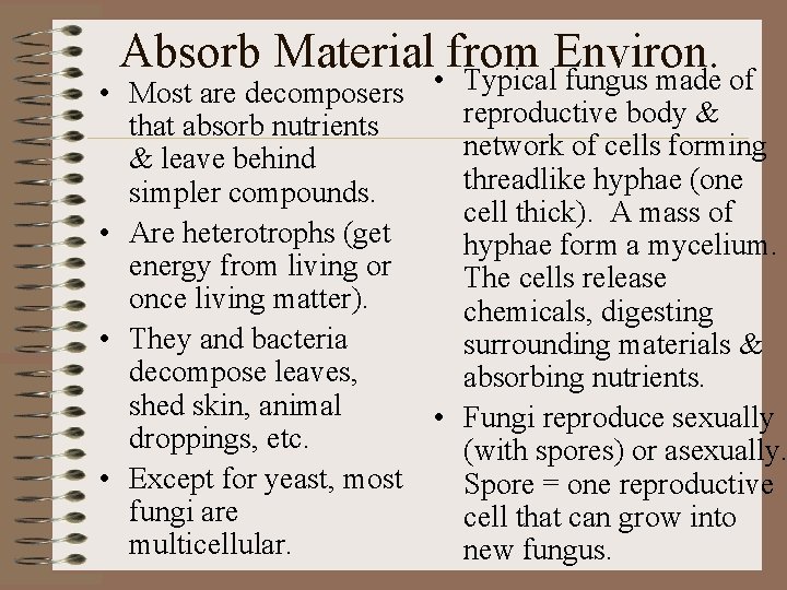 Absorb Material • from Environ. Typical fungus made of • Most are decomposers reproductive