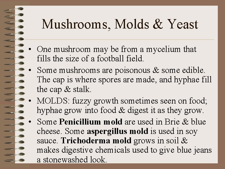 Mushrooms, Molds & Yeast • One mushroom may be from a mycelium that fills