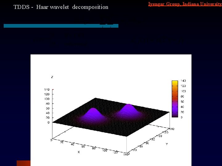 TDDS - Haar wavelet decomposition Iyengar Group, Indiana University 