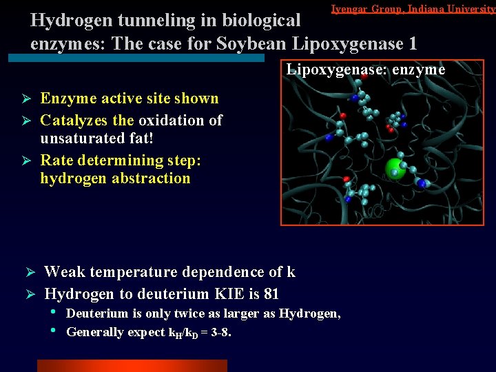 Iyengar Group, Indiana University Hydrogen tunneling in biological enzymes: The case for Soybean Lipoxygenase