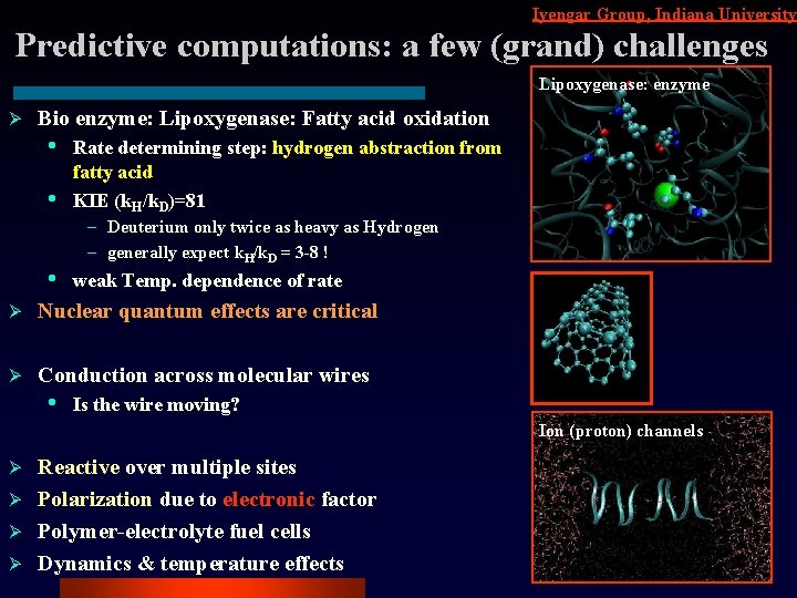 Iyengar Group, Indiana University Predictive computations: a few (grand) challenges Lipoxygenase: enzyme Ø Bio