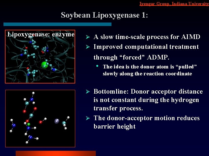 Iyengar Group, Indiana University Soybean Lipoxygenase 1: Lipoxygenase: enzyme A slow time-scale process for