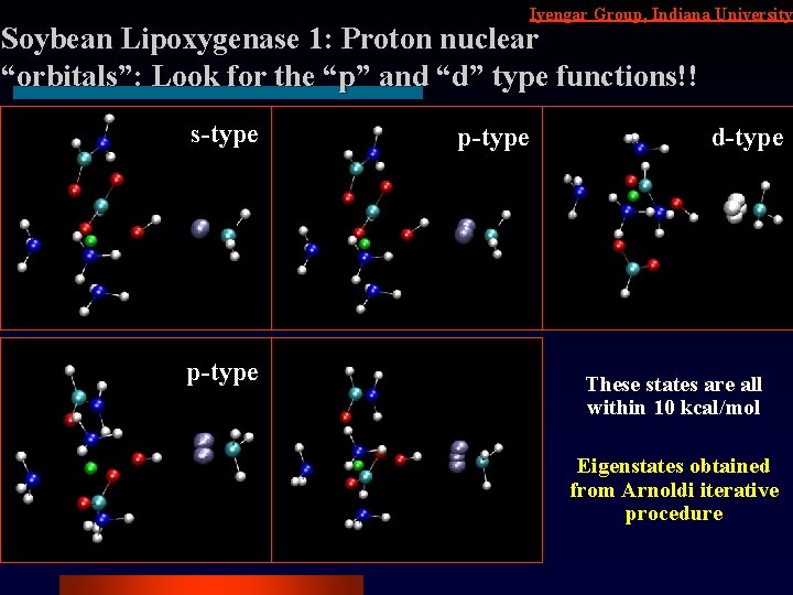 Iyengar Group, Indiana University Soybean Lipoxygenase 1: Proton nuclear “orbitals”: Look for the “p”