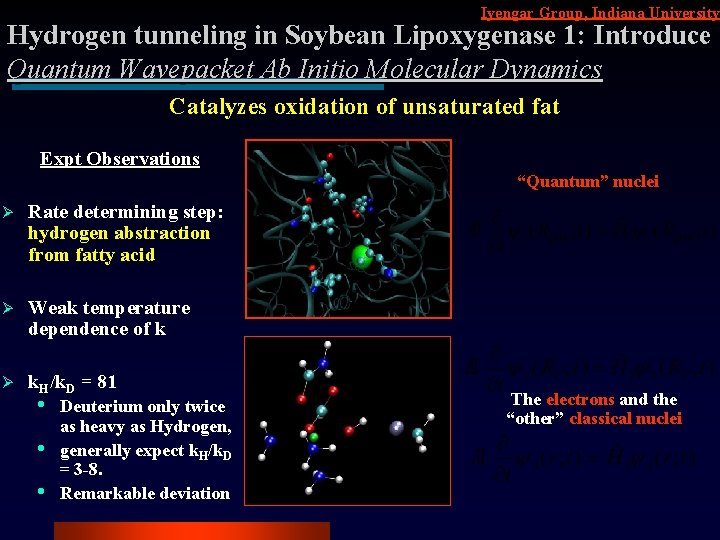 Iyengar Group, Indiana University Hydrogen tunneling in Soybean Lipoxygenase 1: Introduce Quantum Wavepacket Ab