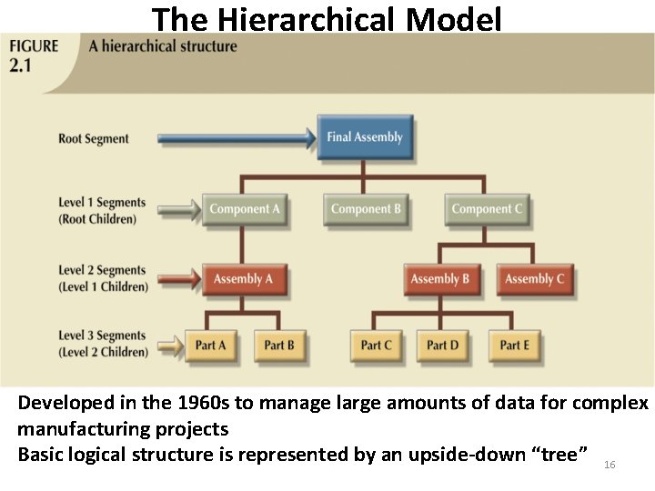 The Hierarchical Model Developed in the 1960 s to manage large amounts of data