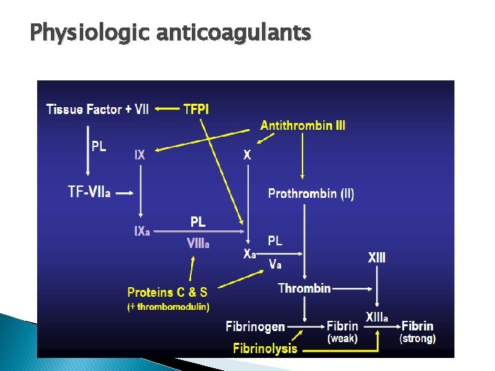 Physiologic anticoagulants 