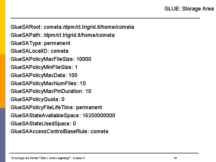 GLUE: Storage Area Glue. SARoot: cometa: /dpm/ct. trigrid. it/home/cometa Glue. SAPath: /dpm/ct. trigrid. it/home/cometa