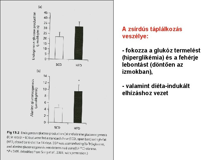 A zsírdús táplálkozás veszélye: - fokozza a glukóz termelést (hiperglikémia) és a fehérje lebontást