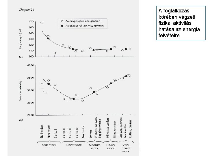 A foglalkozás körében végzett fizikai aktivitás hatása az energia felvételre 
