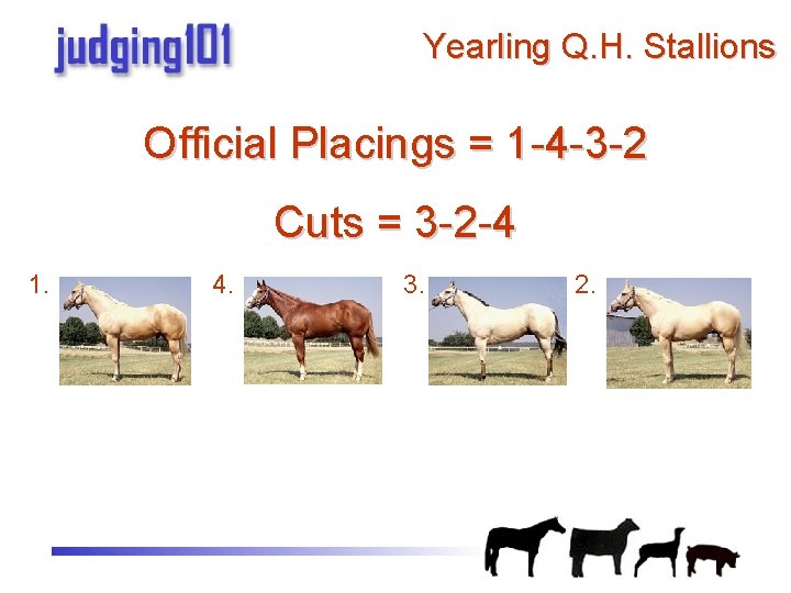 Yearling Q. H. Stallions Official Placings = 1 -4 -3 -2 Cuts = 3
