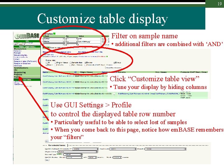 19 Customize table display Filter on sample name • additional filters are combined with