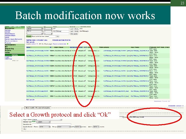 23 Batch modification now works Select a Growth protocol and click “Ok” 