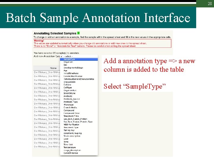 28 Batch Sample Annotation Interface Add a annotation type => a new column is