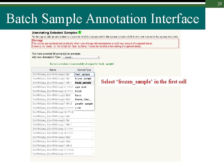 29 Batch Sample Annotation Interface Select ‘frozen_sample’ in the first cell 