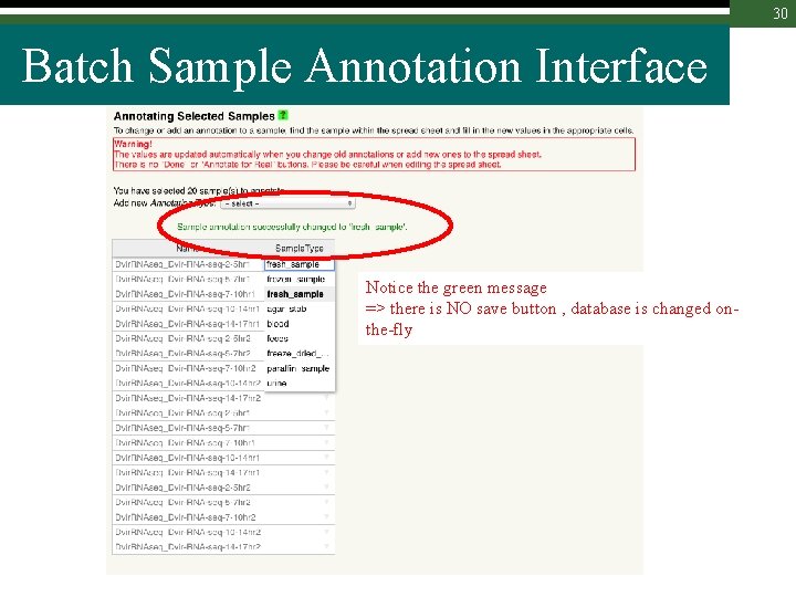 30 Batch Sample Annotation Interface Notice the green message => there is NO save